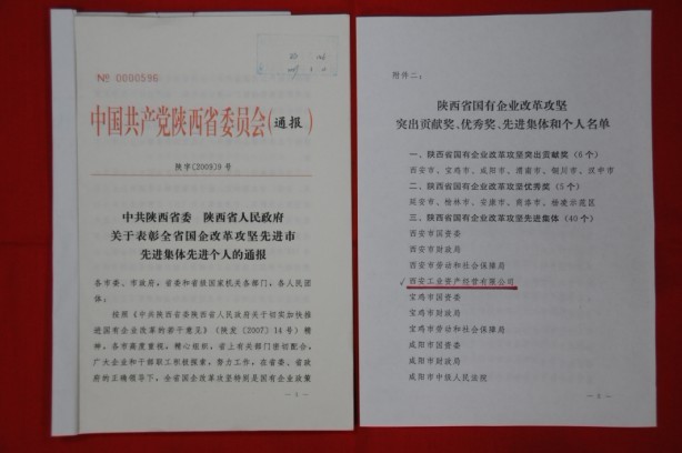 2009年2月，被陜西省委、省政府授予陜西省國有企業(yè)改革攻堅先進(jìn)集體